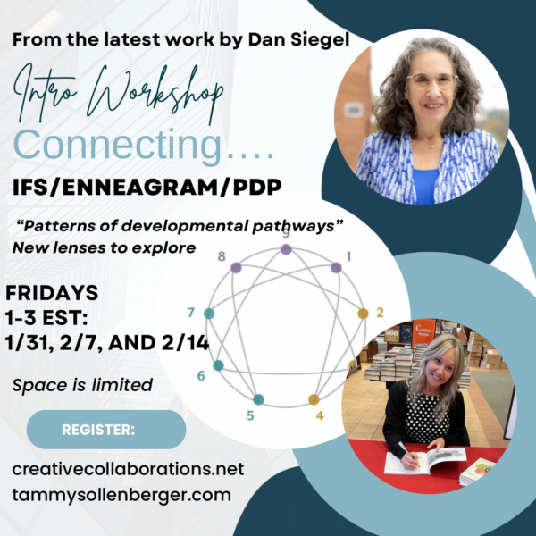 Connecting IFS with the Enneagram and PDP: new lenses to explore